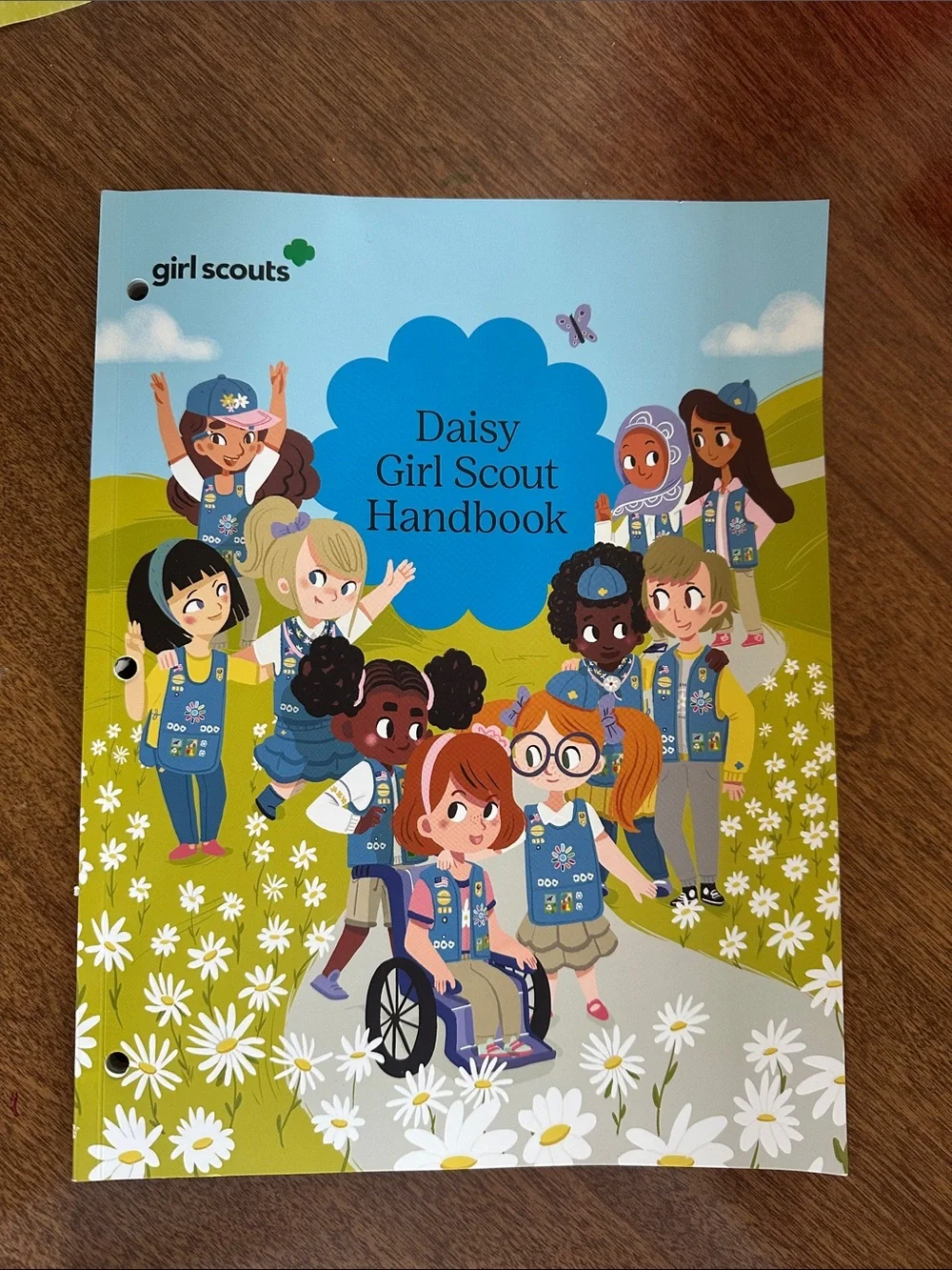 Daisy Handbook - like new, only 2 pages out/used.